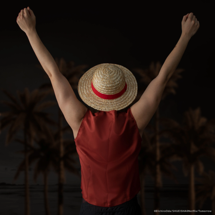 One Piece Luffy Straw Hat Cosplay Replica