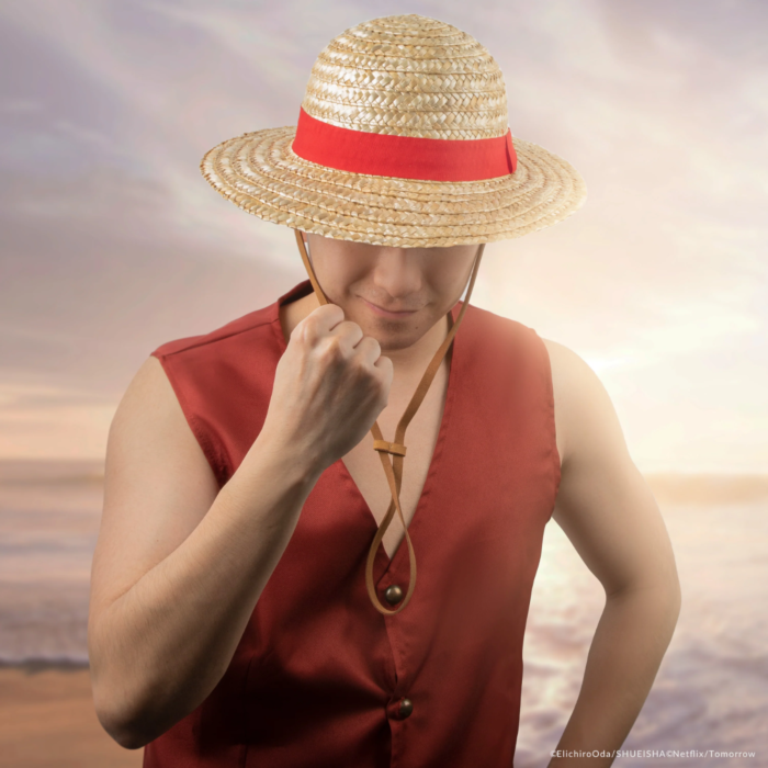 One Piece Luffy Straw Hat Cosplay Replica