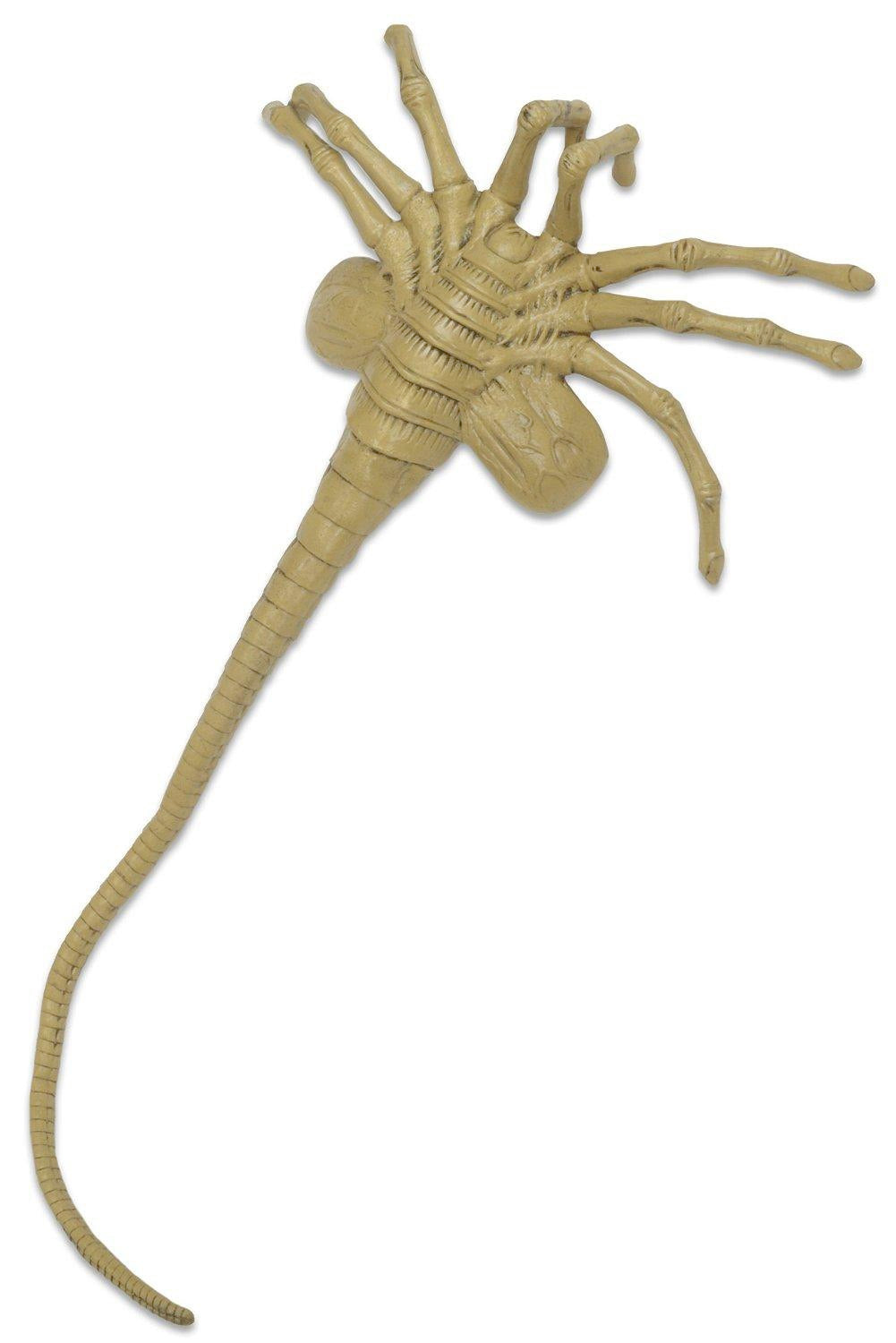 Aliens Facehugger 1:1 Scale Life Size Foam Prop Replica