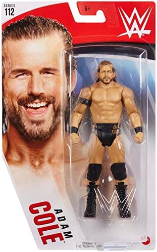 WWE Adam Cole Wrestling Series 112 Action Figure