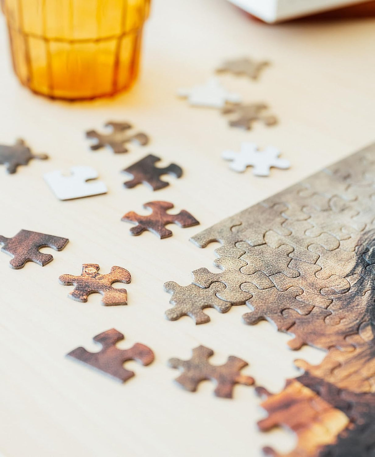 The Lord of the Rings The Return of the King 500 Piece Jigsaw Puzzle