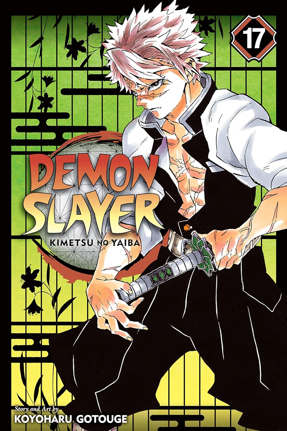 Demon Slayer Volume 17