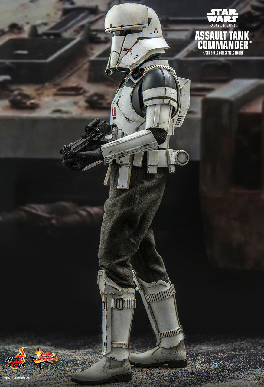 Star Wars Assault Tank Commander 1/6 Scale Hot Toys Collectable Figure