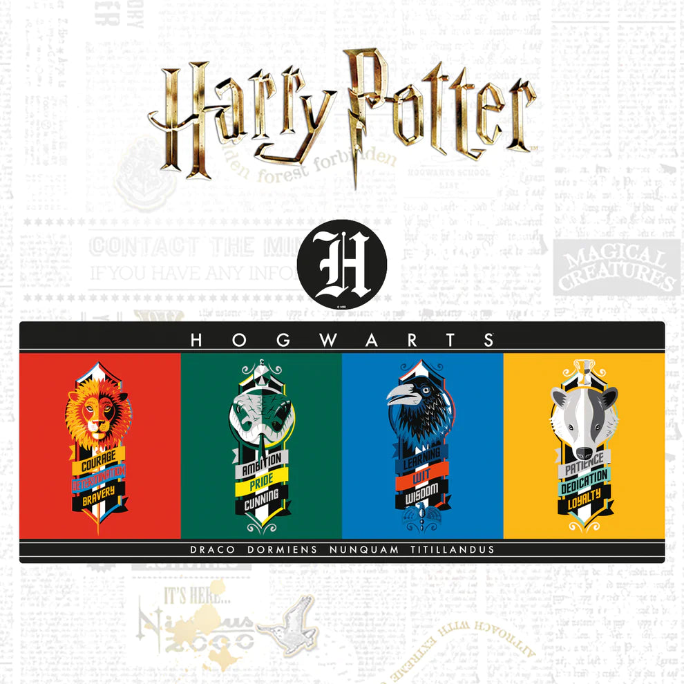 Harry Potter Desk Pad & Coaster Set
