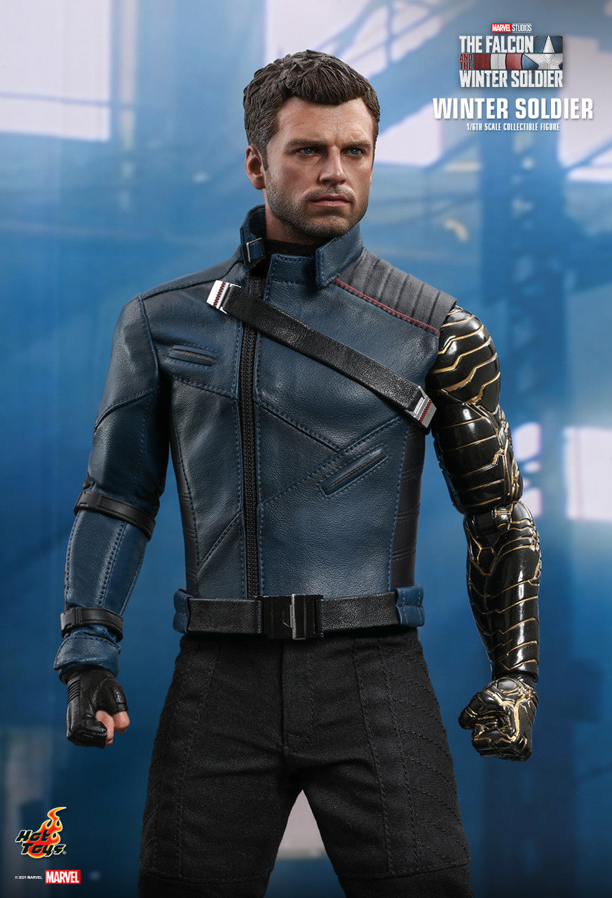 Marvel: Winter Soldier: 1/6 Scale Hot Toys Collectible Figure