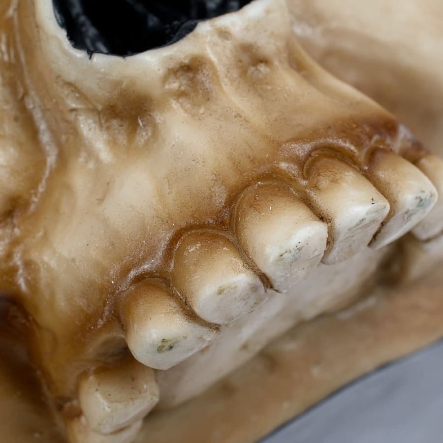 Warhammer 40,000 Mug Servo Skull
