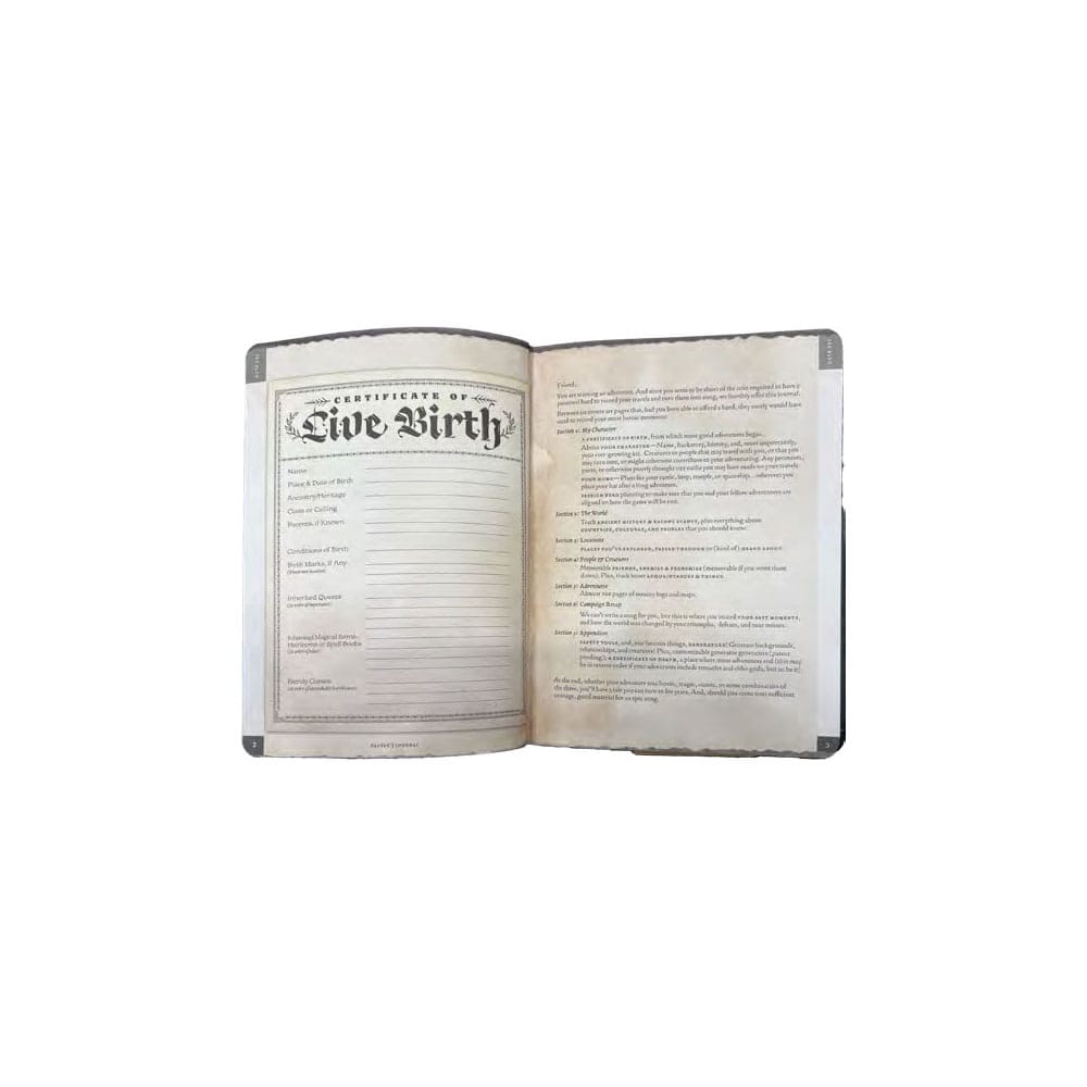 Player's Journal A5 Notebook