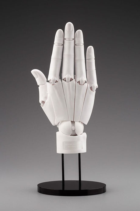 Takahiro Kagami Hand Model/R White 21 cm 1/1 PVC Artist Support Item