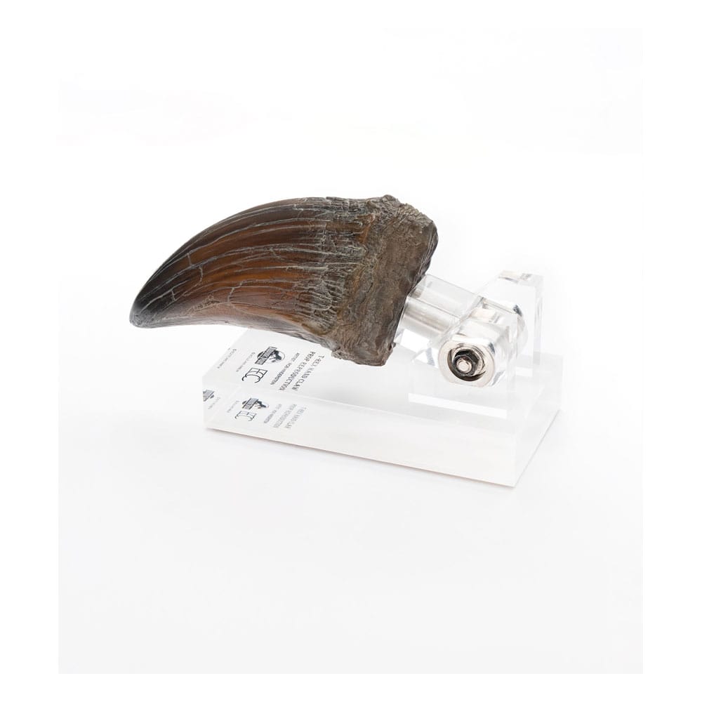 Jurassic Park Statue T-Rex Hand Claw 13 cm