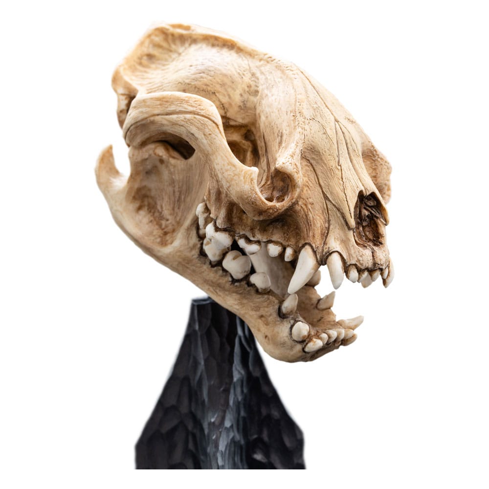 Lord of the Rings Skull of a Warg 20 cm Mini Statue