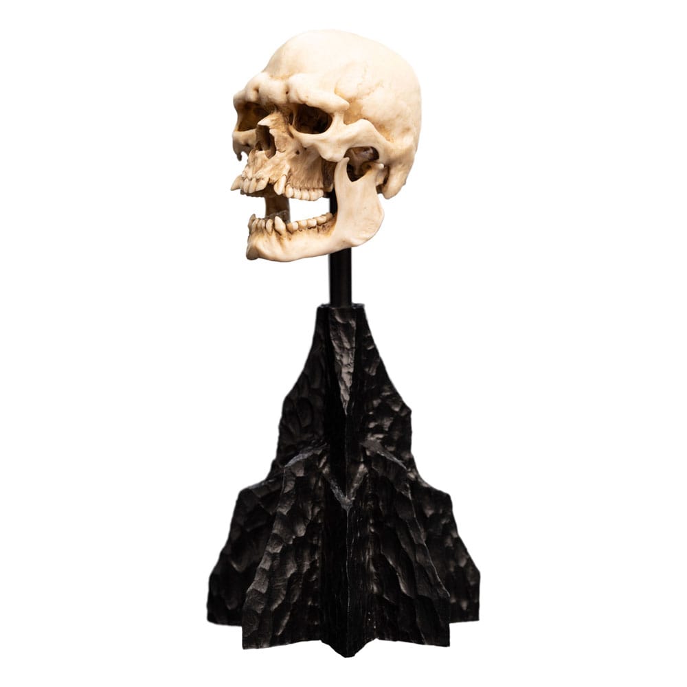 Lord of the Rings Skull of a Mordor Orc 14 cm Mini Statue