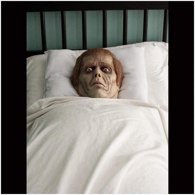 Dawn of the Dead Roger Pillow Pal