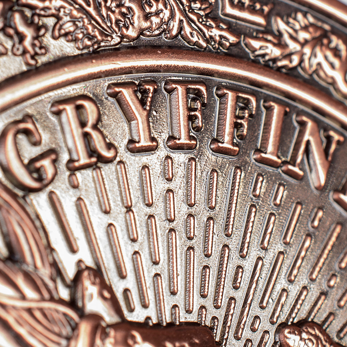 Harry Potter Jumbo House Coin Gryffindor