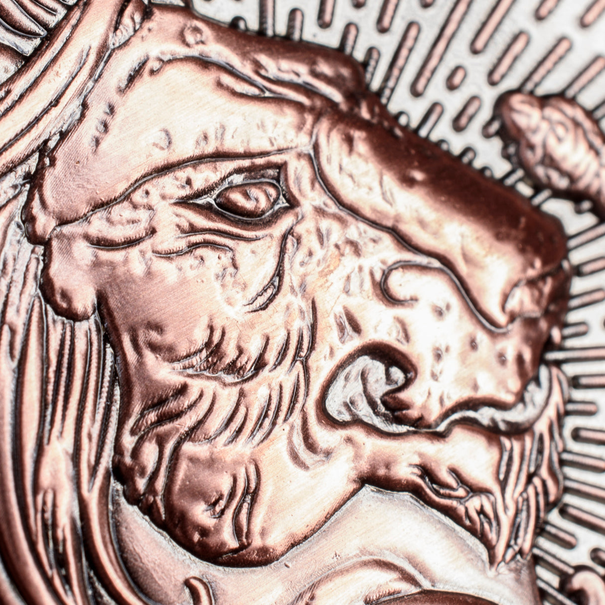 Harry Potter Jumbo House Coin Gryffindor