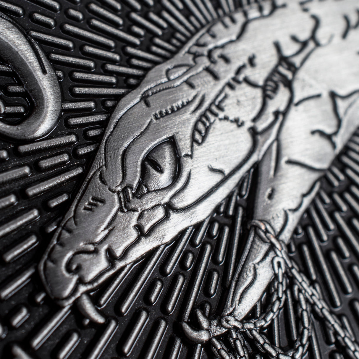 Harry Potter Jumbo House Coin Slytherin