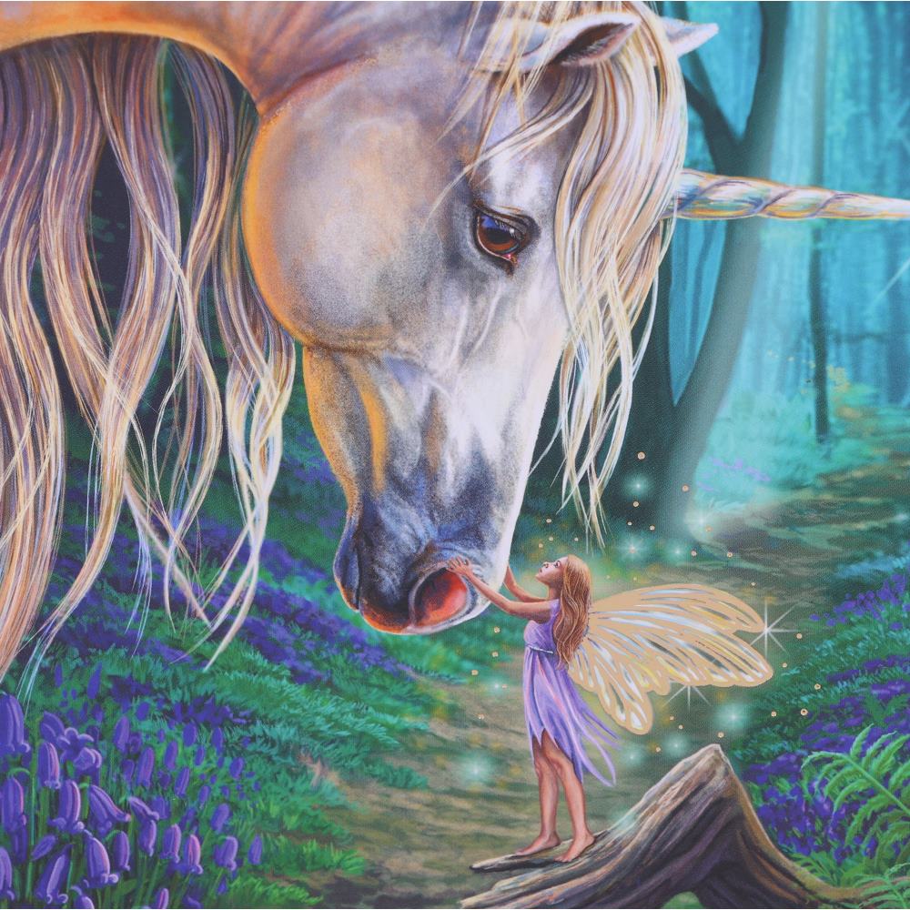 Lisa Parker Fairy Whispers Journal 17cm