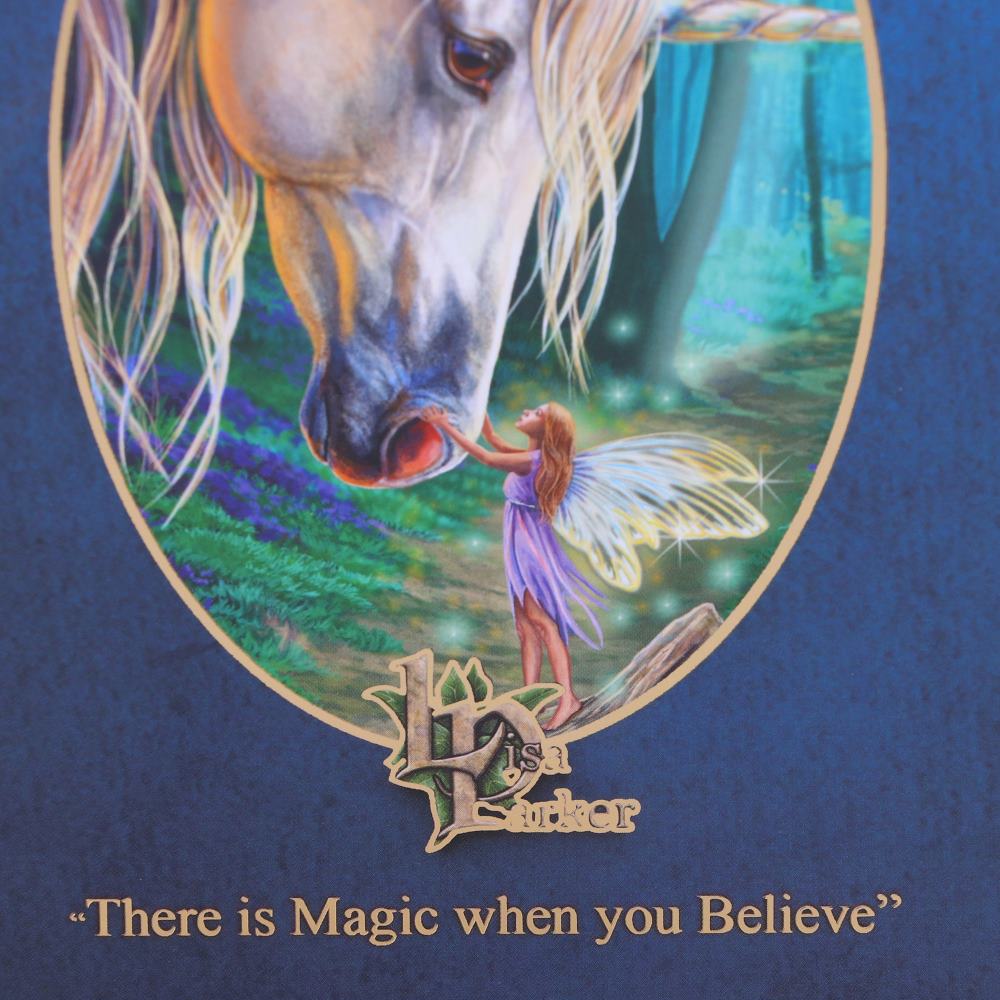 Lisa Parker Fairy Whispers Journal 17cm