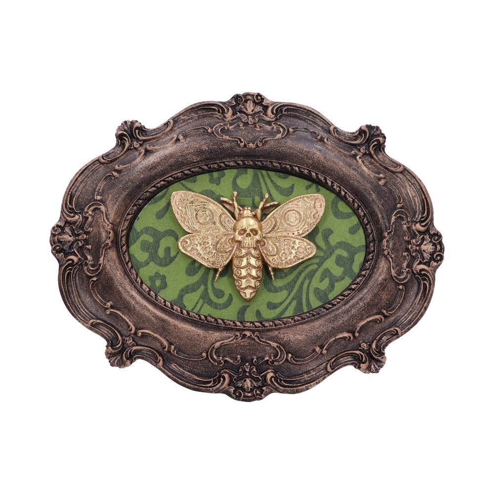 Moth Macabre Baroque Framed Death's Head Moth Wall Plaque