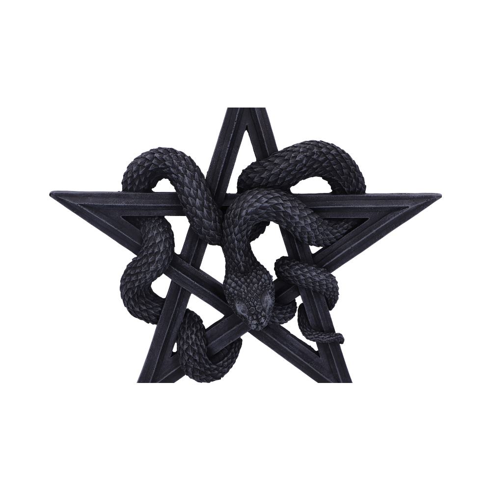 Serpent's Worship Snake Wall Plaque 24cm