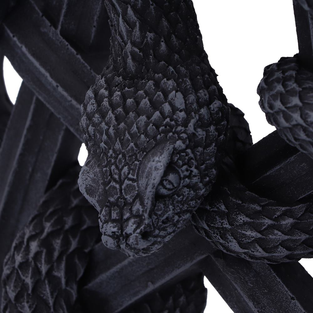 Serpent's Worship Snake Wall Plaque 24cm