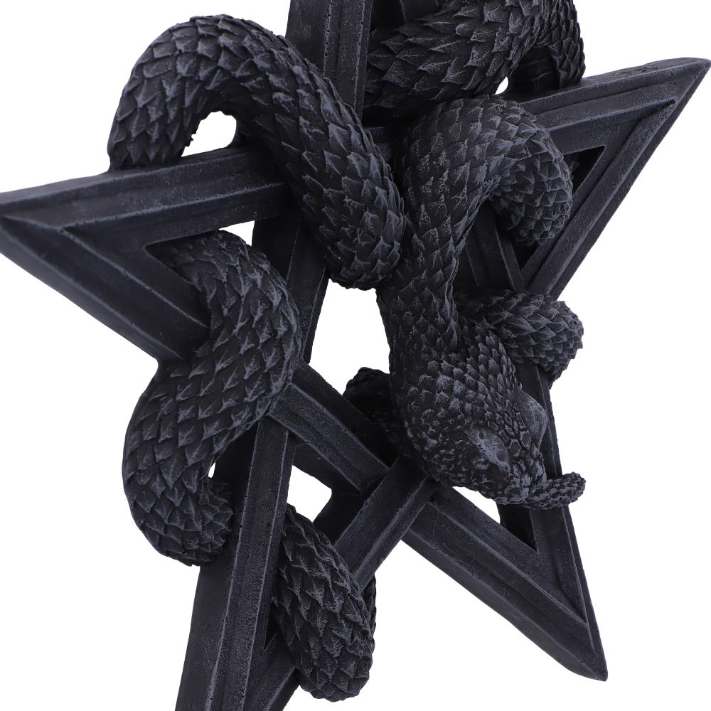 Serpent's Worship Snake Wall Plaque 24cm