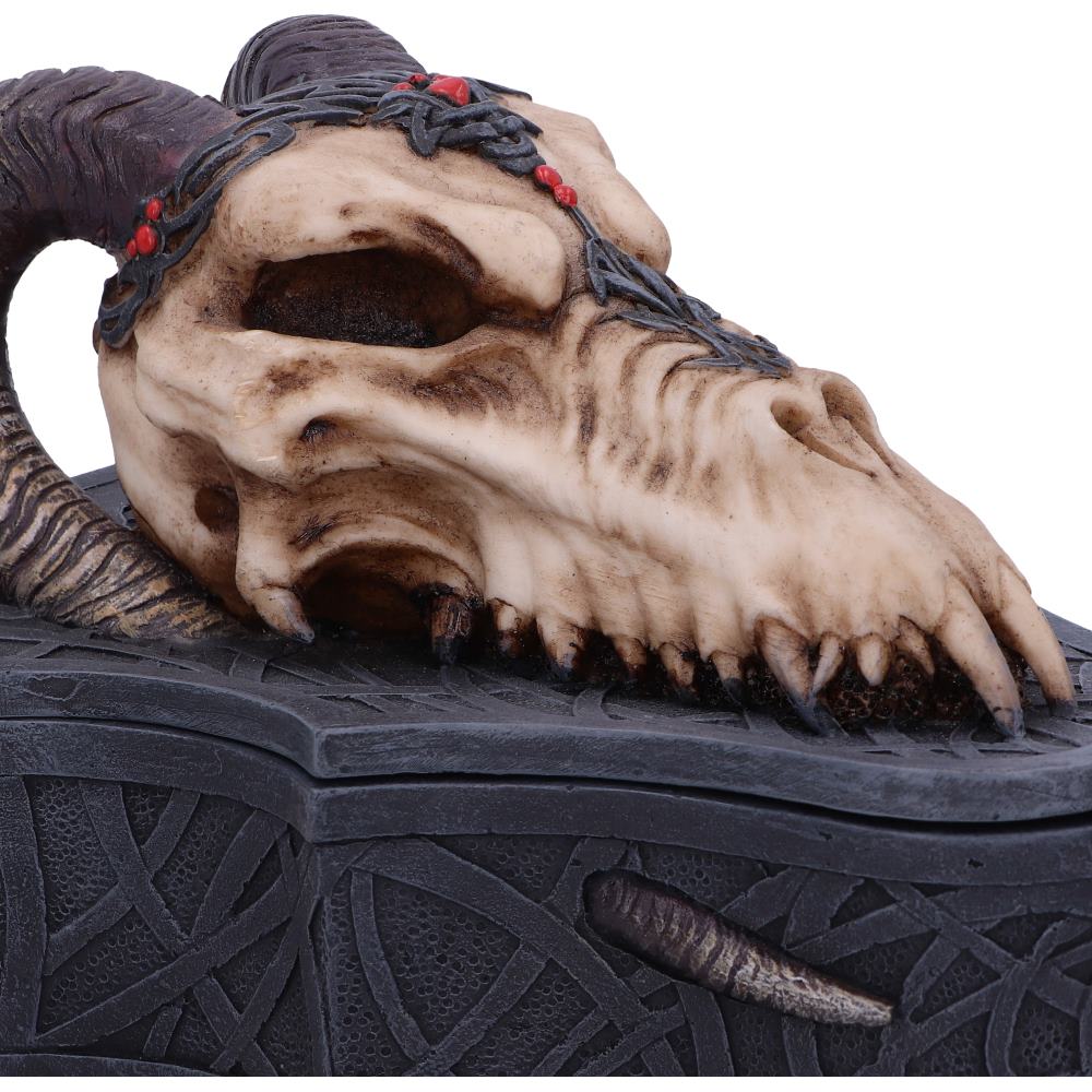 Dragon Skull Box (Monte Moore) 17.7cm