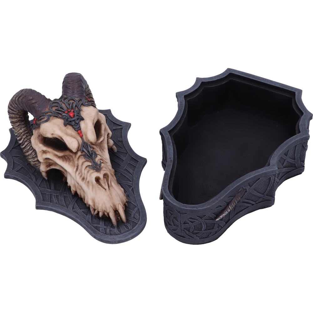 Dragon Skull Box (Monte Moore) 17.7cm