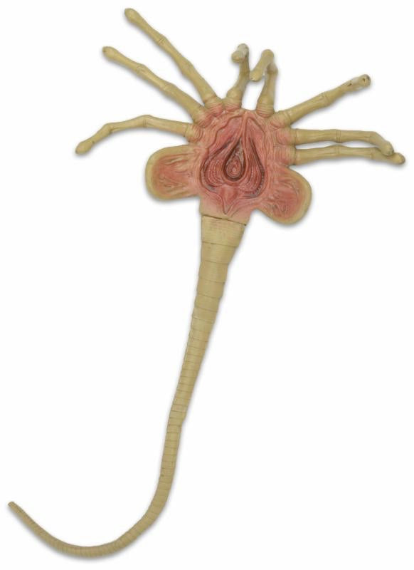 Aliens Facehugger 1:1 Scale Life Size Foam Prop Replica