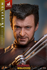 Marvel Deadpool & Wolverine Wolverine \hot Toy 1/6 Scale Classic Brown & Tan