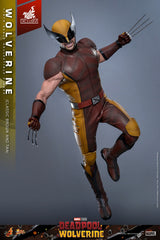 Marvel Deadpool & Wolverine Wolverine \hot Toy 1/6 Scale Classic Brown & Tan