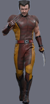 Marvel Deadpool & Wolverine Wolverine \hot Toy 1/6 Scale Classic Brown & Tan