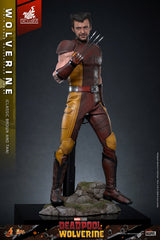 Marvel Deadpool & Wolverine Wolverine \hot Toy 1/6 Scale Classic Brown & Tan