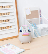 Pusheen the Cat 3D Gamer Lamp