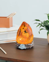 Jurassic Park Amber Lamp