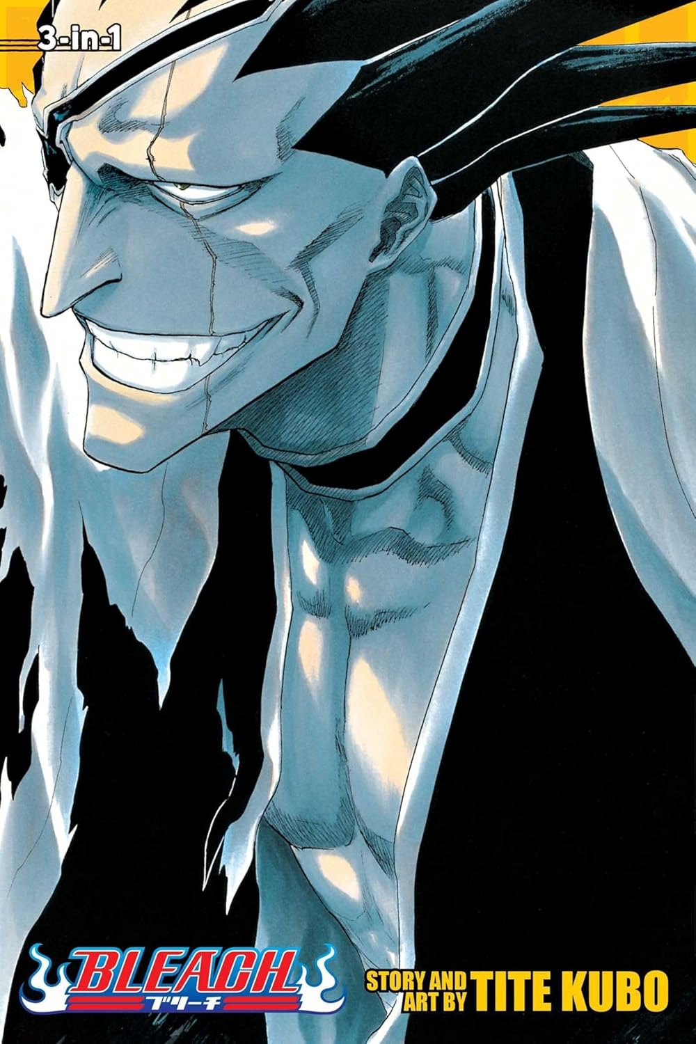 Bleach Omnibus Volumes 13, 14 & 15