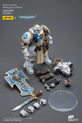 Warhammer 40K White Consuls Bladeguard Veteran 1/18 Scale Figure
