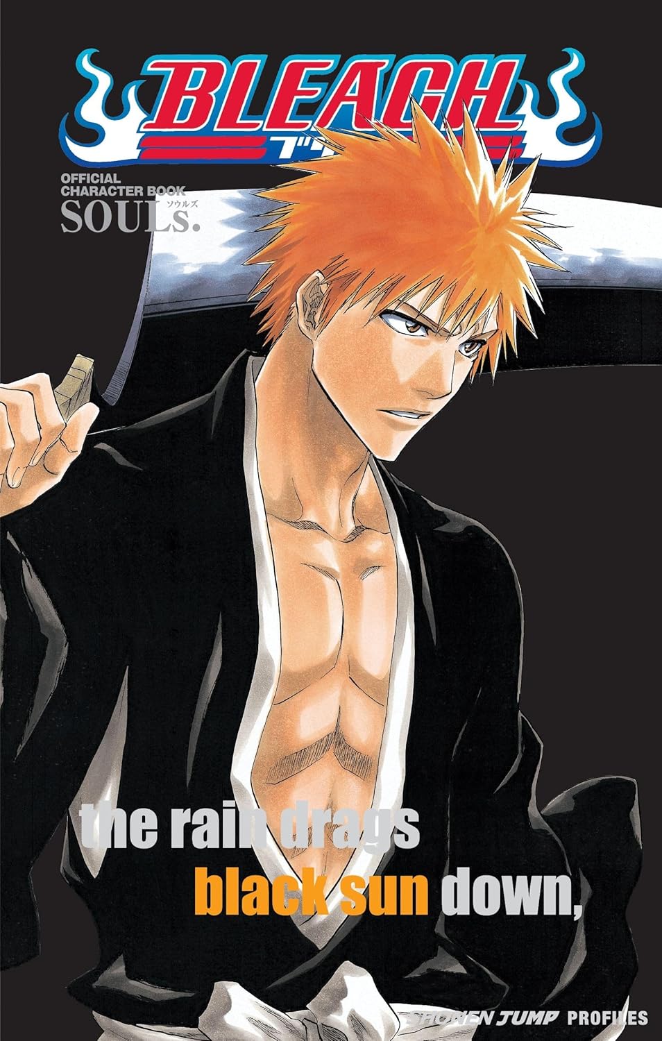 Bleach SOULs Official Character Book