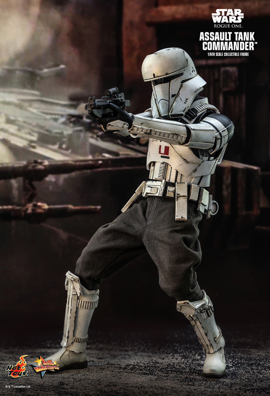 Star Wars Assault Tank Commander 1/6 Scale Hot Toys Collectable Figure