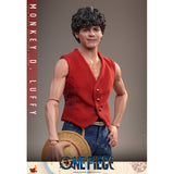 One Piece: Monkey D. Luffy 1/6 Scale Hot Toys Action Figure