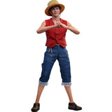 One Piece: Monkey D. Luffy 1/6 Scale Hot Toys Action Figure