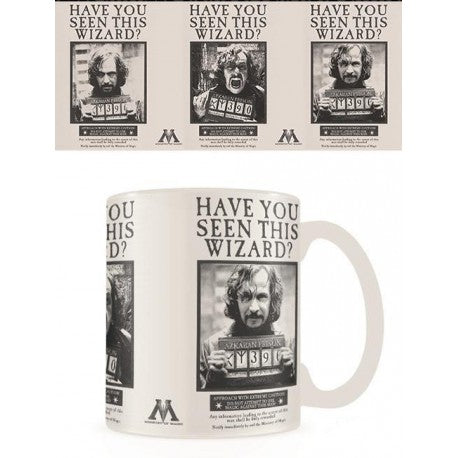 Harry Potter 315ml Ceramic Heat Changing Mug