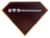 Superman Gold Shield Replica Magnet