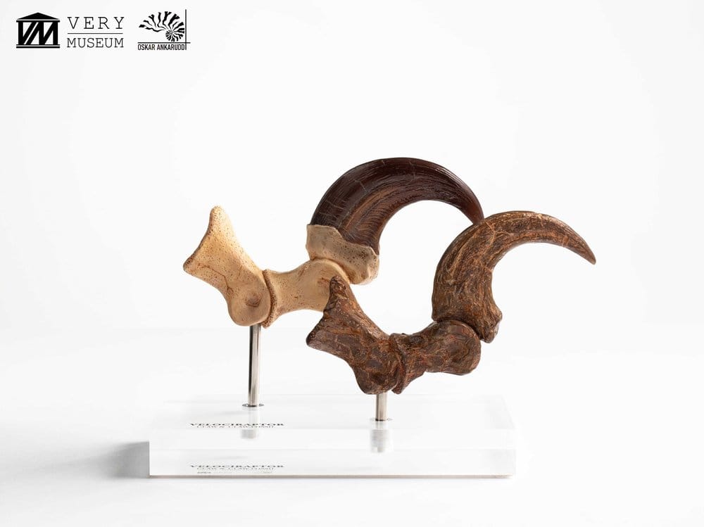 Jurassic Park ECC Elite Creature Line Statue Velociraptor Foot Claw and Fossil Claw Set 20 cm