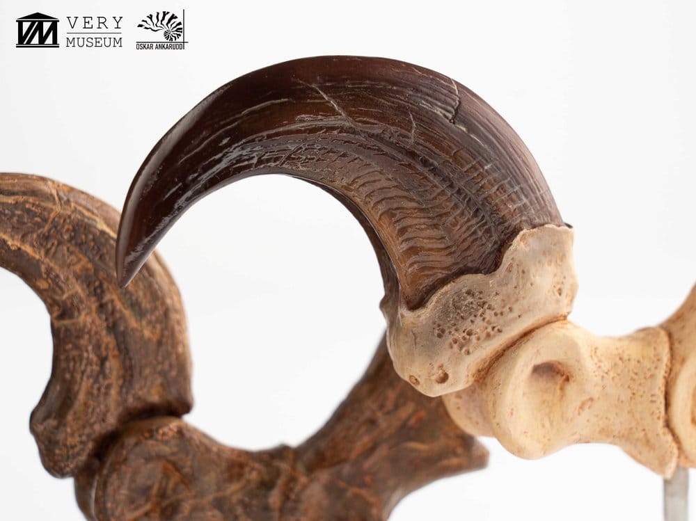 Jurassic Park ECC Elite Creature Line Statue Velociraptor Foot Claw and Fossil Claw Set 20 cm