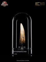 Jurassic Park III Prop Replica 1/1 Spinosaurus Tooth 14 cm