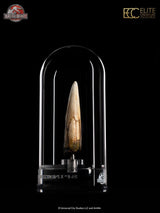 Jurassic Park III Prop Replica 1/1 Spinosaurus Tooth 14 cm