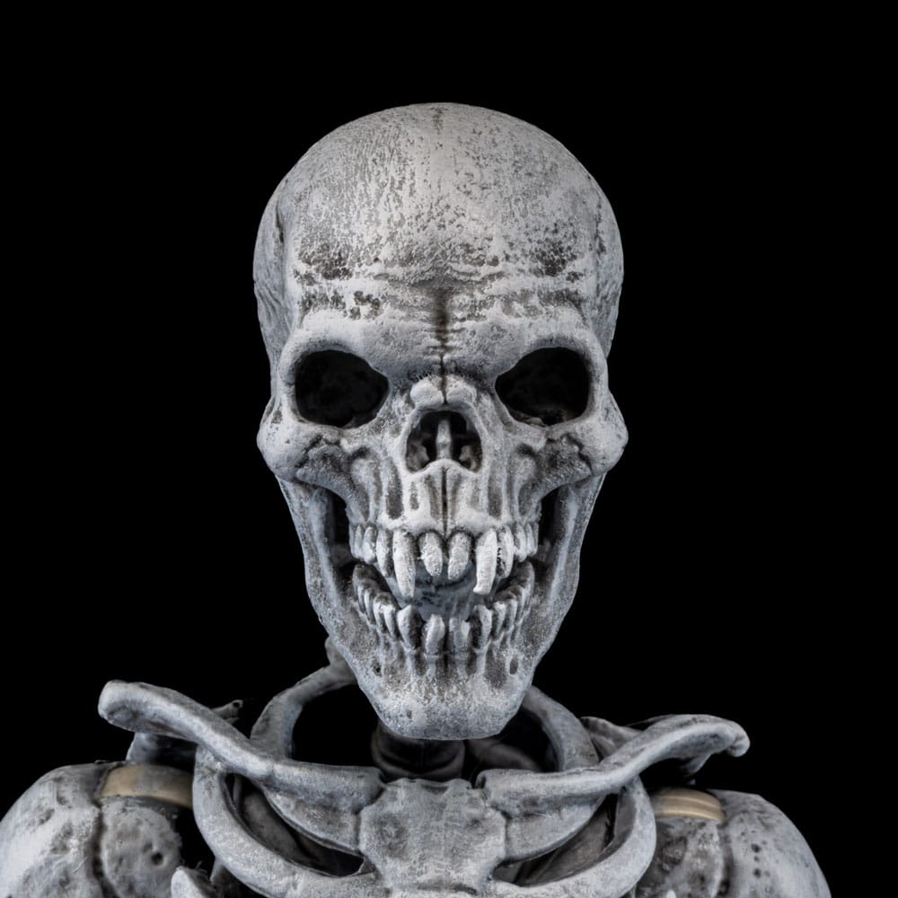 Graveyard Skeletons 4-Pack Action Figures