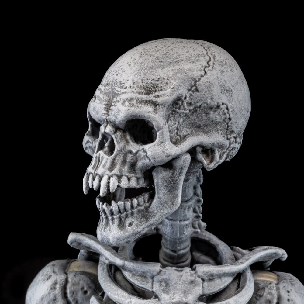 Graveyard Skeletons 4-Pack Action Figures