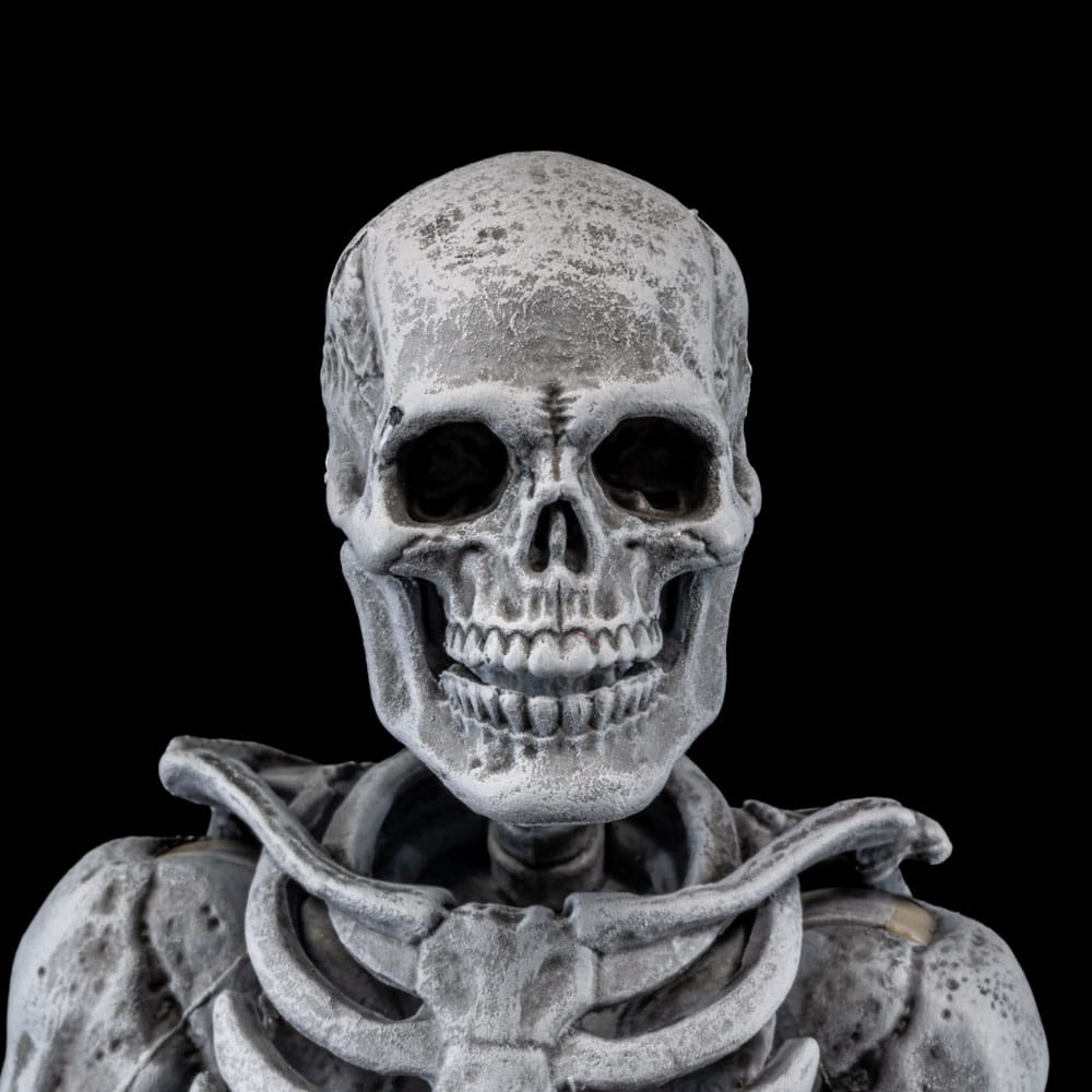 Graveyard Skeletons 4-Pack Action Figures