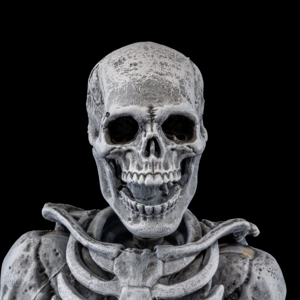 Graveyard Skeletons 4-Pack Action Figures